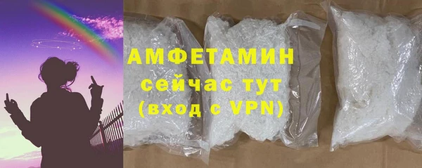 шишки Арсеньев