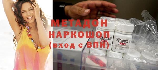 шишки Арсеньев