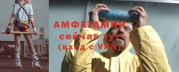 шишки Арсеньев