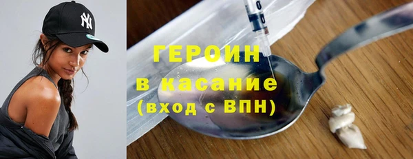 шишки Арсеньев