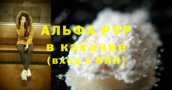 шишки Арсеньев