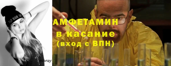 шишки Арсеньев