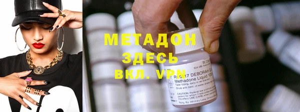 шишки Арсеньев