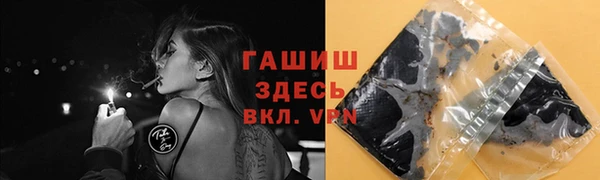 шишки Арсеньев