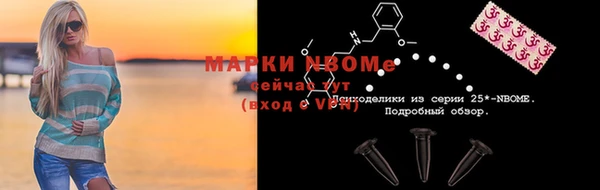 шишки Арсеньев