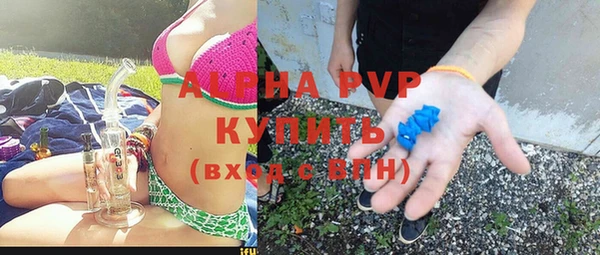 шишки Арсеньев